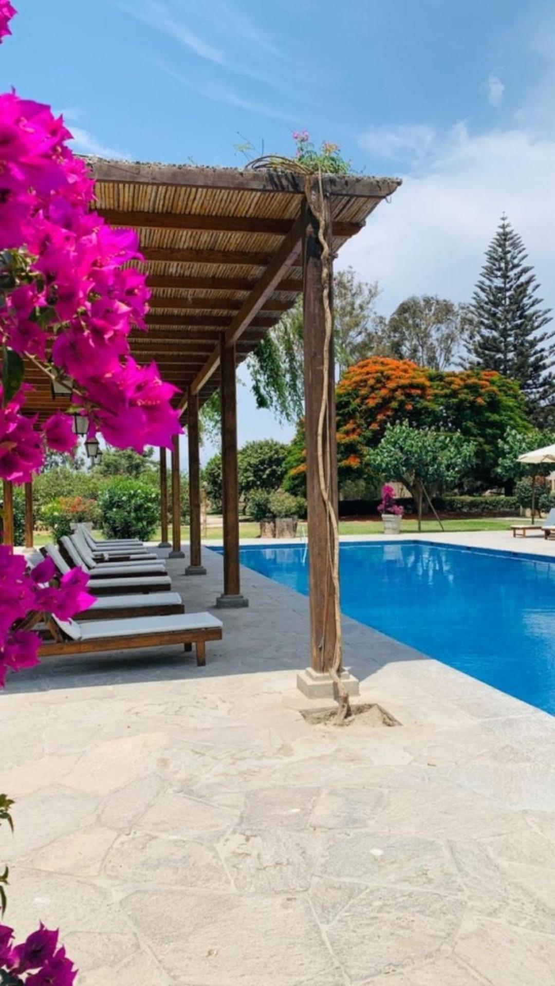 Casa Hacienda San Jose Hotel Чинча Алта Екстериор снимка