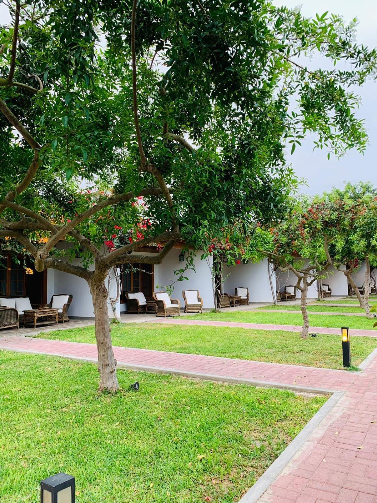 Casa Hacienda San Jose Hotel Чинча Алта Екстериор снимка